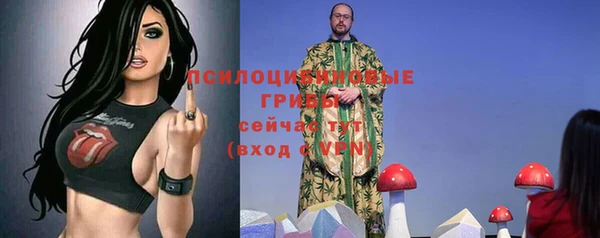 меф Богородицк